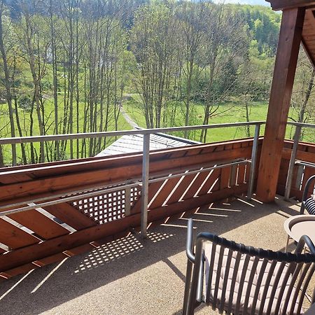 Haus Daut Fewo Mit Hallenbad ヴィリンゲン エクステリア 写真